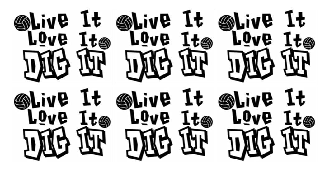 Daisy Lane Volleyball Gift for Girls, Team Player Temporary Tattoo, Pack of 24, Individually Cut