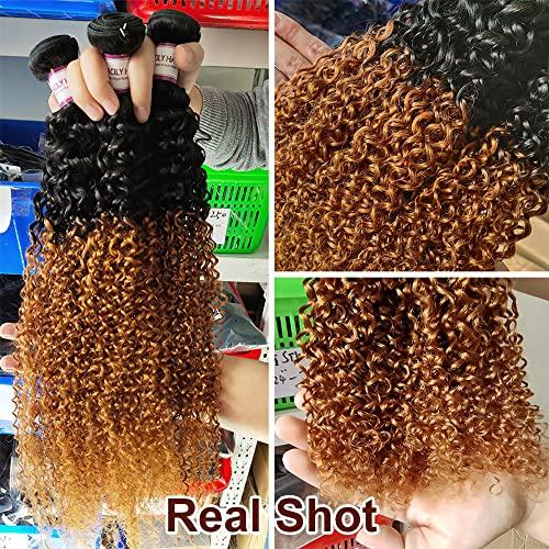 ALISFEEL Ombre Curly 3 Bundles Brazilian Curly Hair Wet and Wavy Human Hair Dark Brown Weave 3 Bundles Kinky Curly 1B/30 Black to Brown (16"18"20")