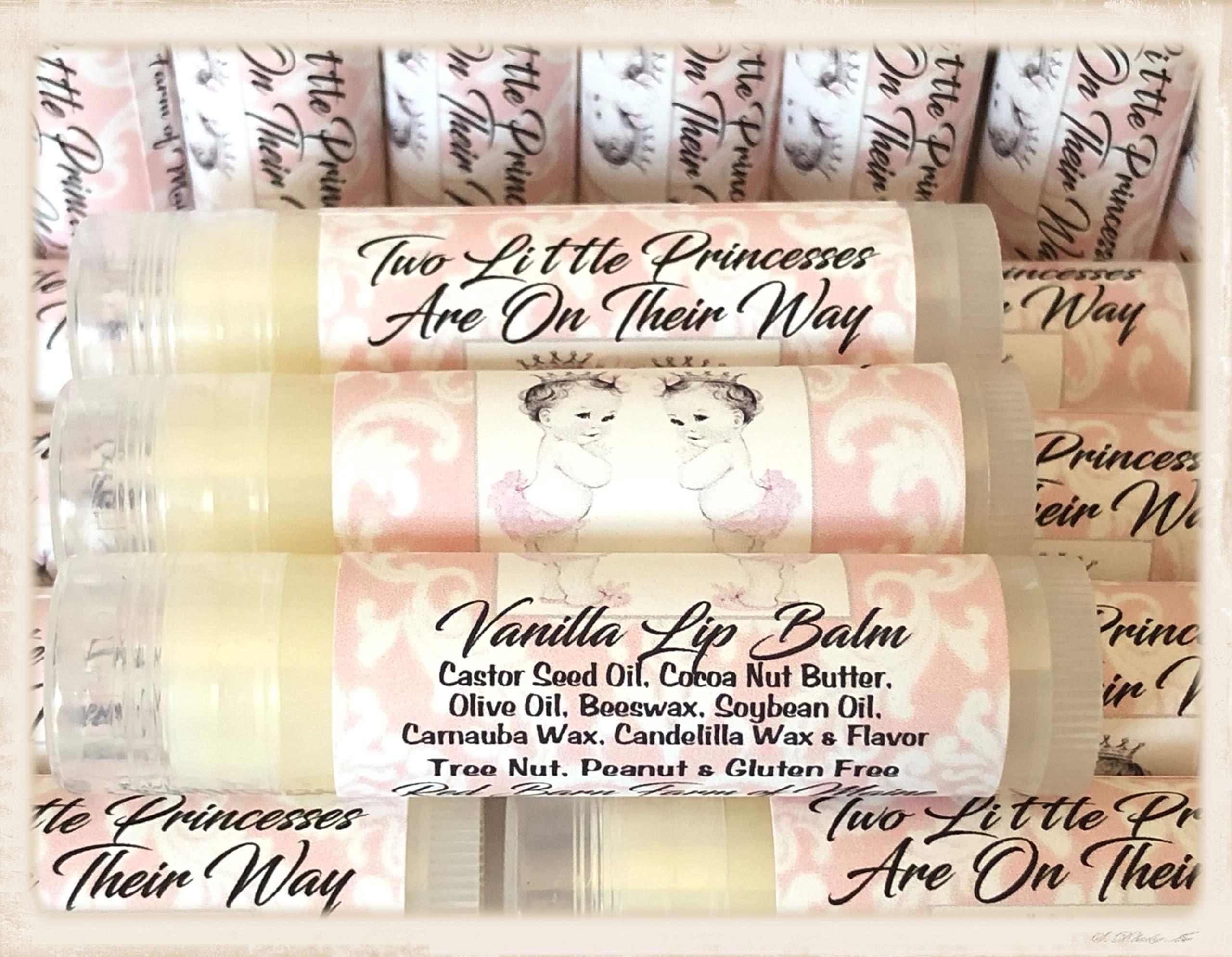 Red Barn Farm of Maine 10 TWIN GIRL Lip Balm Baby Shower Party Favors