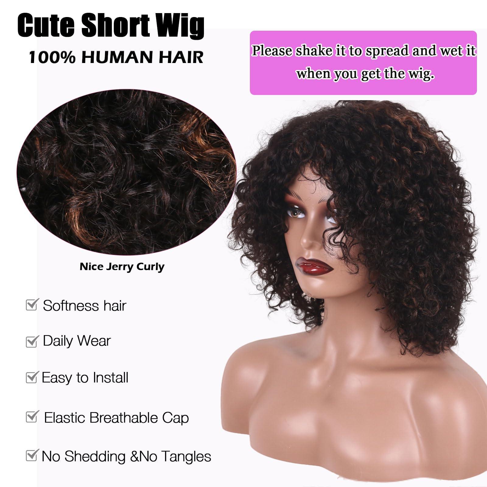 ManeMajesty ManeMajesty Short Curly Human Hair Wigs for Black Women Short Kinky Curly Afro Wig No Lace Front Glueless Wig Highlight Ombre Side Part Jerry Curl Wig -100% Brazilian Human Hair (FS1B/30, 14 Inch)