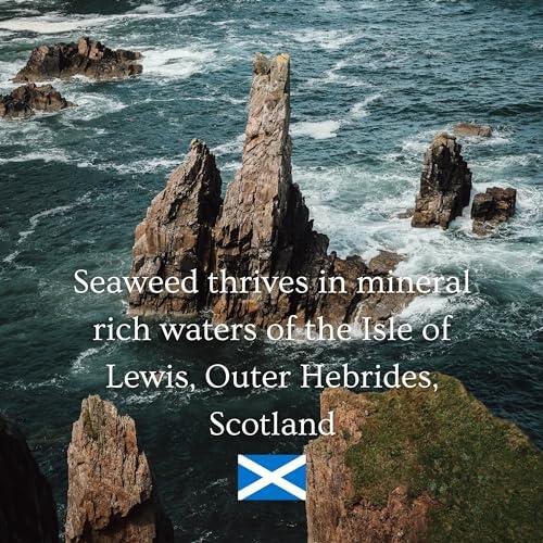 Ishga Ishga Anti-oxidant Marine Face Cream | Natural & Organic Skincare | Scottish Seaweed | Vegan, Cruelty-Free | Macadamia, Aloe Vera | 1.01fl oz (30ml)