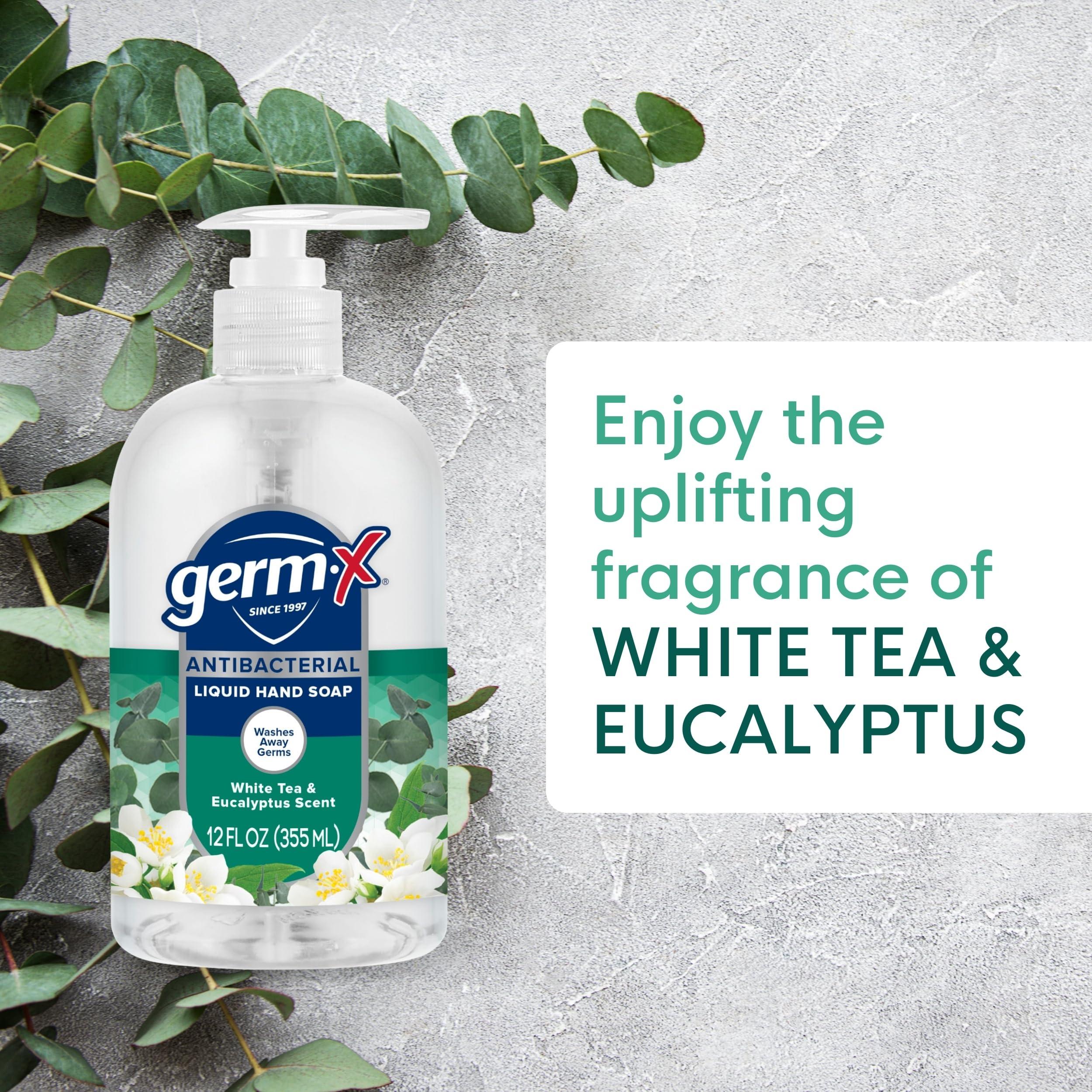 Germ-X Germ-X Antibacterial Hand Soap, Moisturizing Liquid Hand Wash for Kitchen, pH Balanced & Dermatologist Tested, Back to School Supplies, White Tea & Eucalyptus, 12 oz Pump Bottle (Pack of 12)