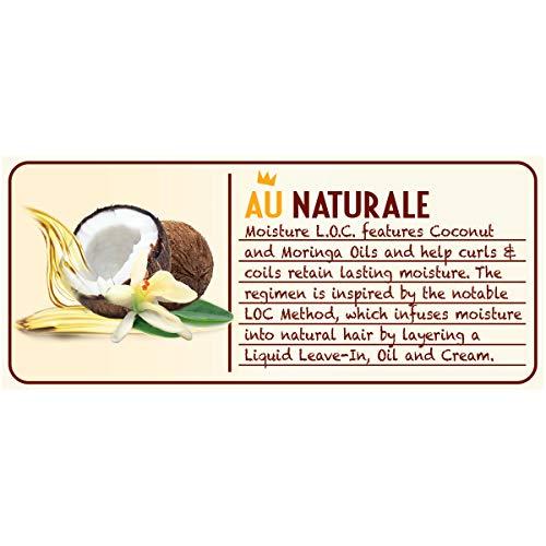 Soft-Sheen Carson SoftSheen-Carson Dark and Lovely Au Naturale Moisture LOC Sulfate-Free Cleansing Shampoil, 13.5 fl oz