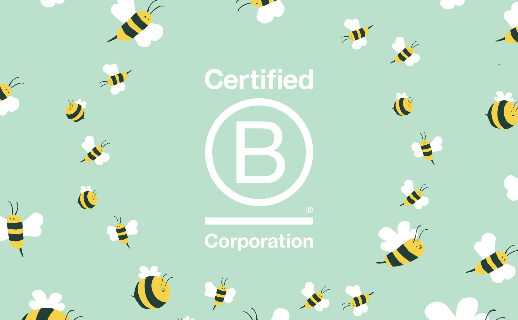 Faith in Nature Faith in Nature Natural Shampoo - Vegan & Cruelty Free, No SLS or Parabens - 13.5 fl oz, Rosemary