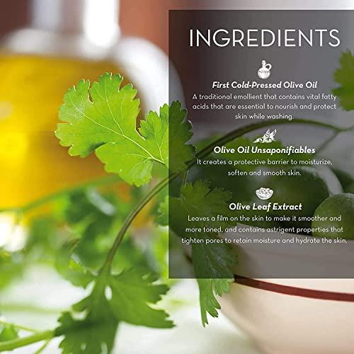 Fruits and Passion Fruits & Passion [Cucina] - Lime Zest & Cypress Tree Hand Care Duo Caddy Gift Set | Liquid Hand Soap Wash (5.1 oz) with Hand Cream Lotion (6.8 oz)