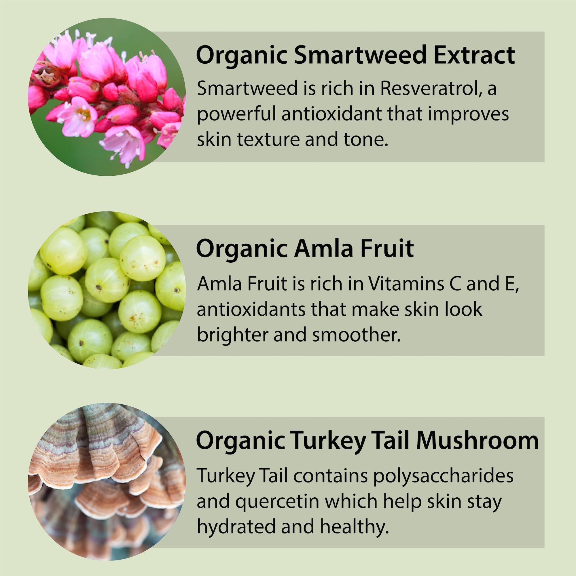 Amara Organics Organic Vitamin C Facial Cleanser with Resveratrol - USDA Certified Organic Face Wash - 1.7 fl oz