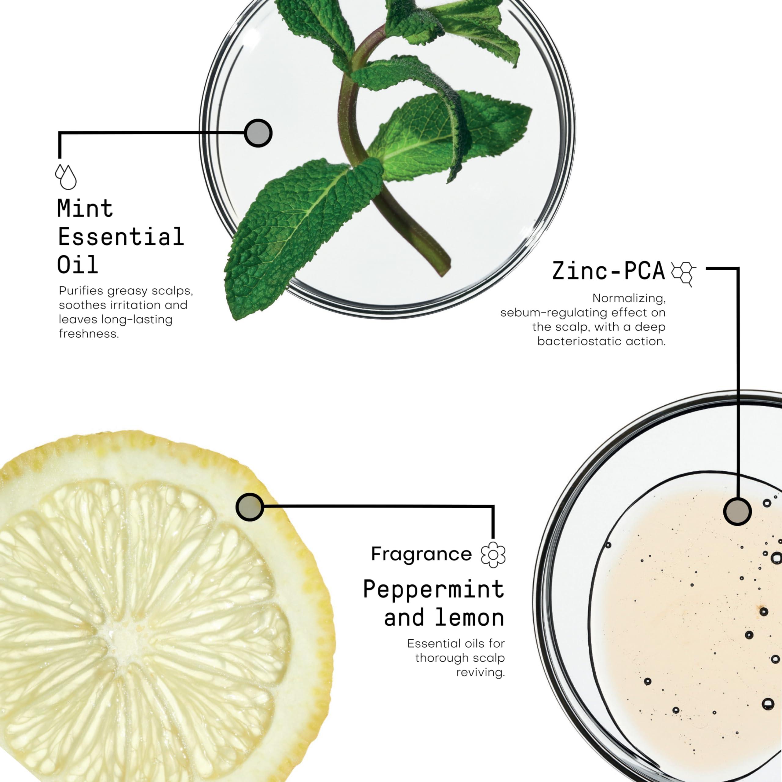 FRAMESI FRAMESI Morphosis Balance Shampoo 8.4 fl oz