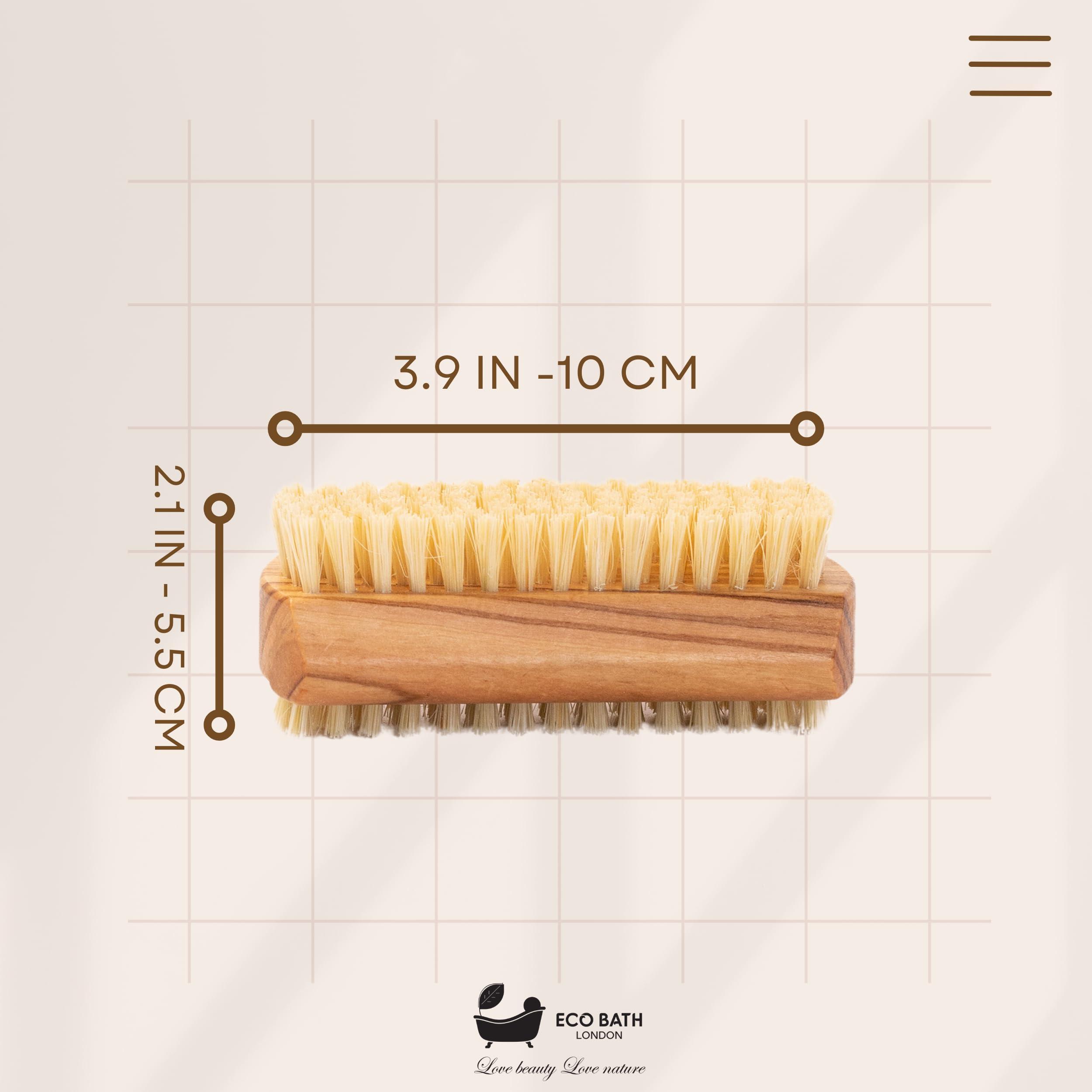 Eco Bath London Eco Bath London Natural Nail Brush - Eco-Friendly Double-Sided Nail Cleaning Brush with Firm and Soft Cactus Bristles for Manicure and Pedicure (Olive Wood (R))