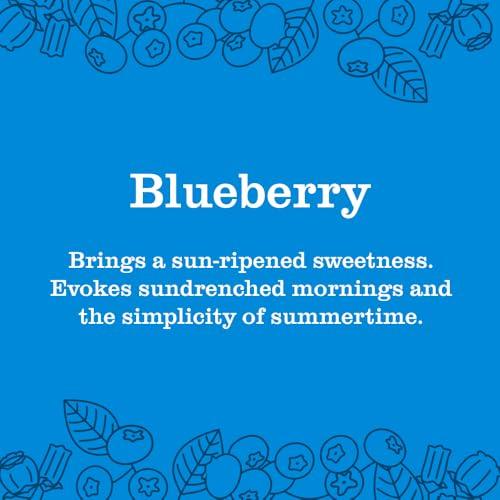 MRS. MEYER'S CLEAN DAY MRS. MEYER'S CLEAN DAY Liquid Hand Soap, Blueberry Scent, 12.5 Ounce Bottle