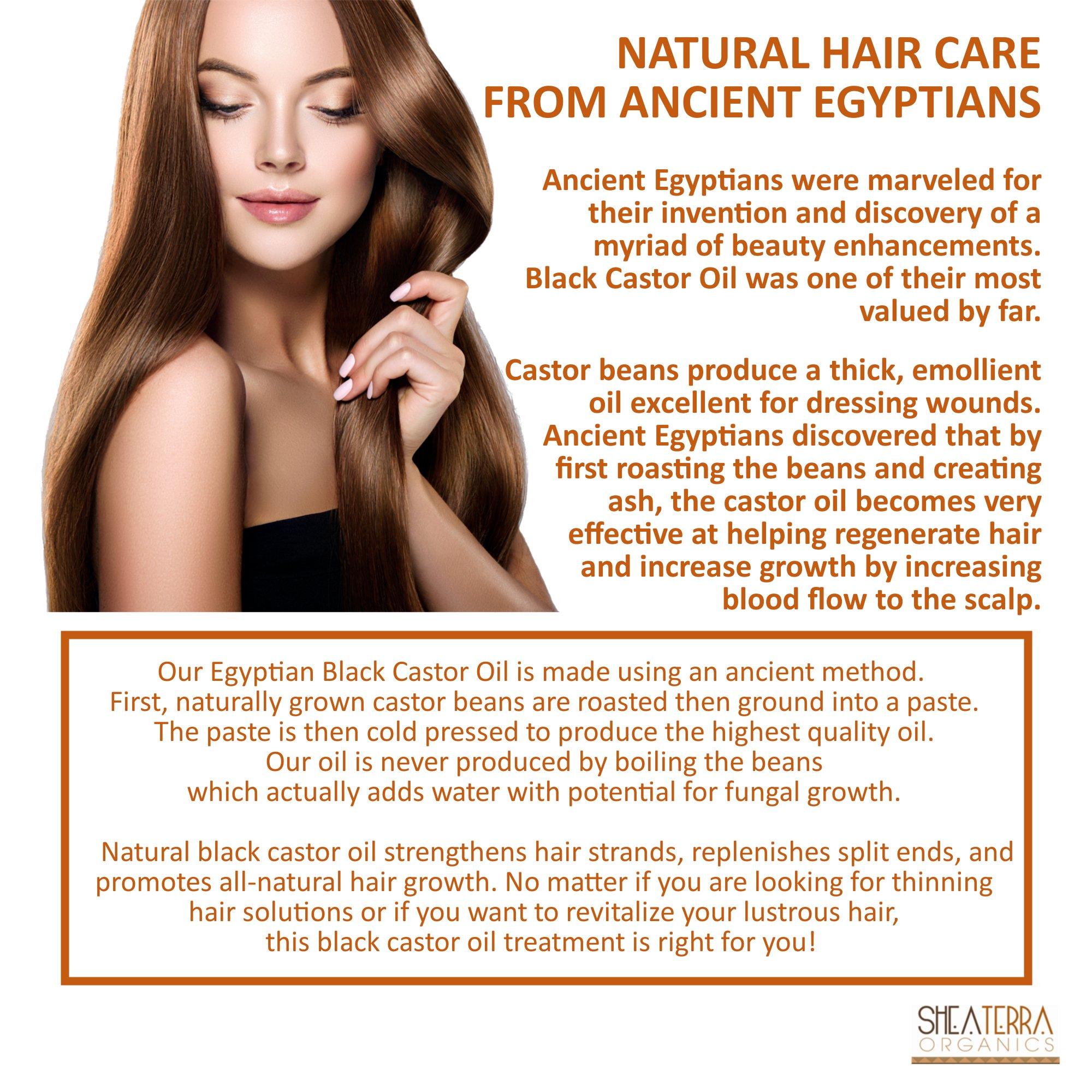 Shea Terra Organics Shea Terra Organics 100 Percent Pure Egyptian Black Castor Extra Virgin Oil | All-Natural Strengthening and Conditioning Hair Oil for Healthy Hair Growth and Scalp– 8 oz