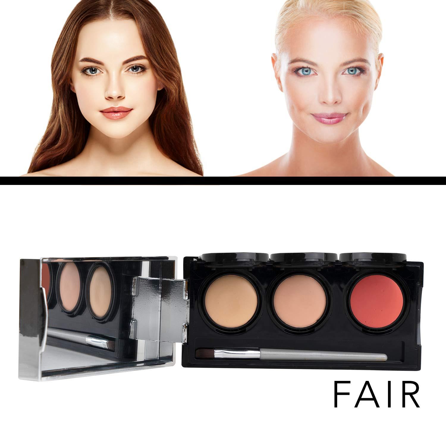 Dermaflage Dermaflage Tattoo Cover Up Makeup (Fair) - Bruise Full Coverage Concealer - Full Coverage Waterproof Concealer for Bruise, Scars & Acne - Smudge Proof Body Makeup Palette with 3 Pro SFX Shades + Brush