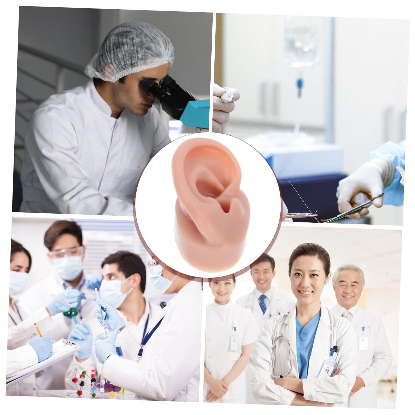 BIUDECO BIUDECO 1pc Human Ear Model Ear Picker Headphones Ear Defenders Ear Practice Model Reusable Earwax Symmetry Ear Cleaning Loop Lanyard Vibes Earphones Coffee