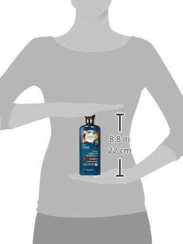 Herbal Essences Herbal Essences Argan Oil of Morocco Shampoo for Color Treated Hair, Treatment for Damaged Hair, Paraben Free, BioRenew, 13.5 FL OZ (Pack of 2)