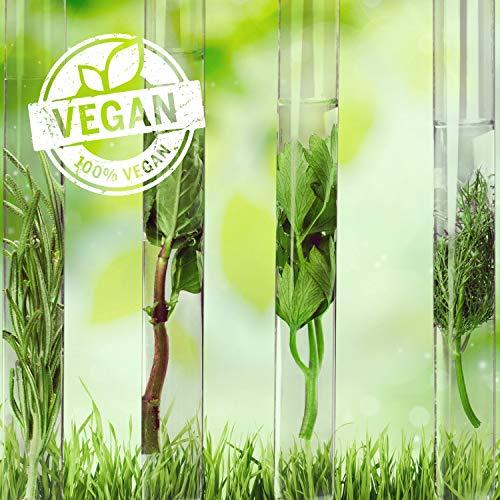 Macadamia Professional Macadamia Professional Hair Care Sulfate & Paraben Free Natural Organic Cruelty-Free Vegan Hair Products Nourishing Hair Repair Oil Treatment, 4.2oz