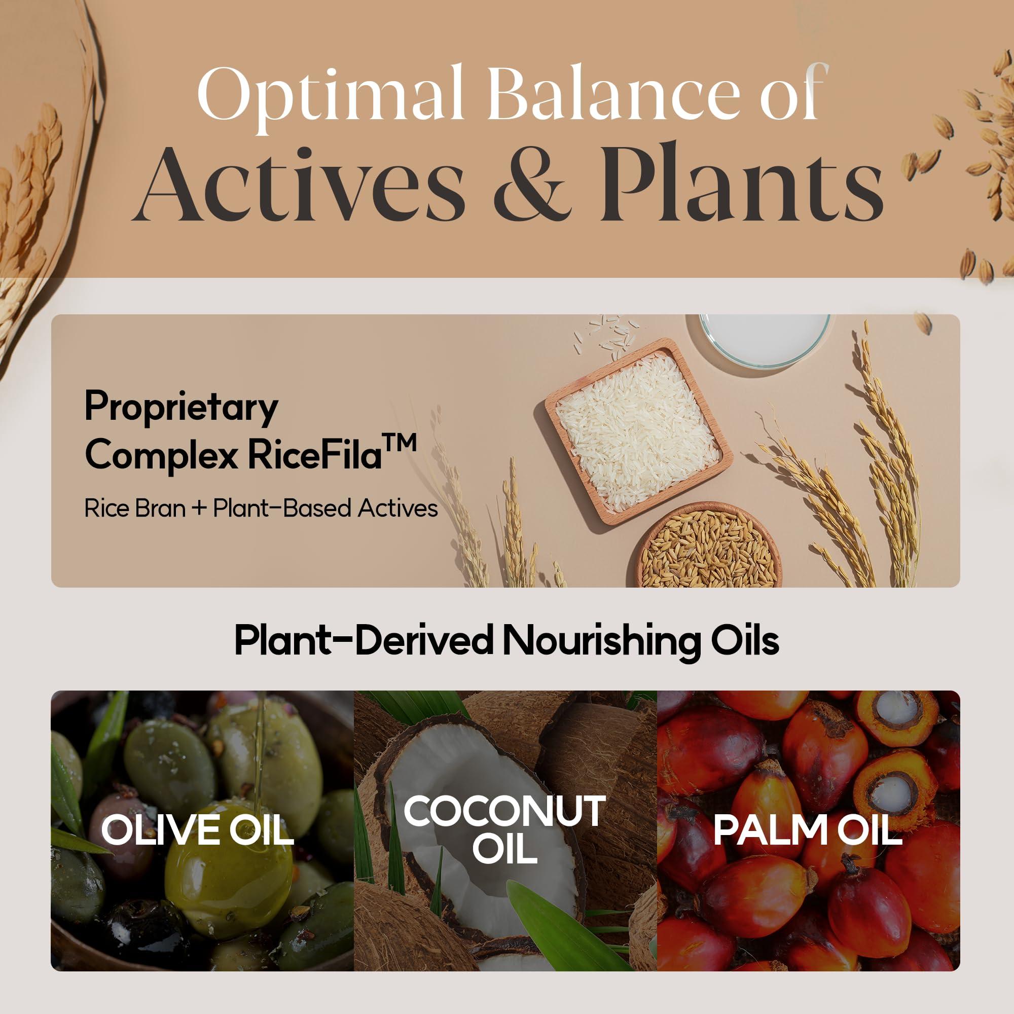 HAYEJIN HAYEJIN Rice Bran Oil for Body | Moisturizing Body Oil For Men & Women | Hydrating Body Oil w/Fermented Rice Bran Oil for Skin | Refreshing Body Oil for Dry Skin 6.76 Fl Oz