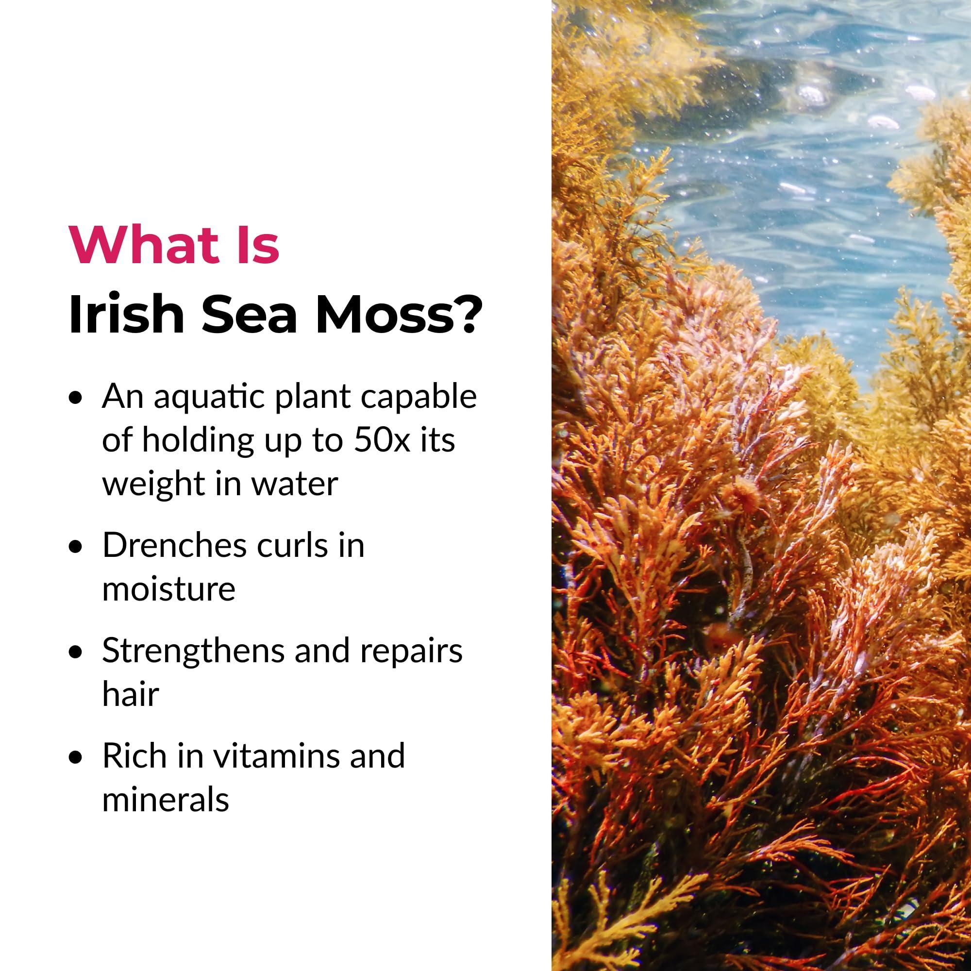 Love Ur Curls Love Ur Curls - LUS Irish Sea Moss Hair Gel, Medium Hold Hair Styling Curling Gel for Defined Curly Hair, Waves & Coils, Vegan, Cruelty Free, 236mL