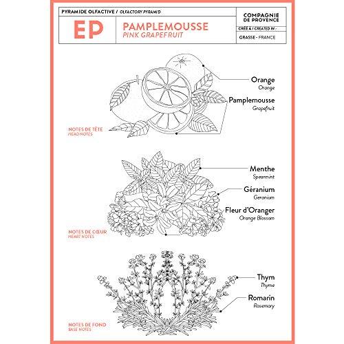 La Compagnie de Provence Compagnie de Provence Savon de Marseille Extra Pure Liquid Soap - Pink Grapefruit - 33.8 fl oz Plastic Bottle Refill