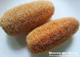 GNR Threesome Ridge Ground Fiber Natural Loofah, 4 Pieces Family Pack