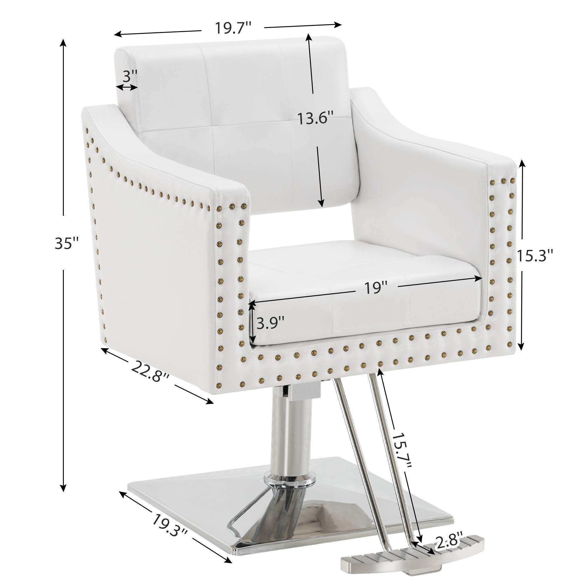 BarberPub BarberPub Salon Chair for Hair Stylist, Hydraulic Barber Styling Chair, Beauty Spa Equipment 8813 (6" Seat Height Adjustment) (White)
