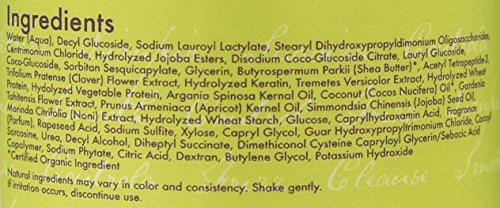 SheaMoisture SheaMoisture Tahitian Noni & Monoi Oil Smooth & Repair Conditioning Shampoo, 13 Ounce