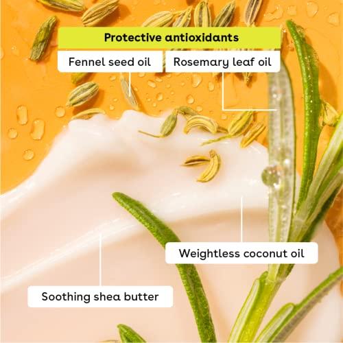 DermaSuction DermaSuction 4 in 1 Multi-function Blackhead Whitehead Extractor Remover Device For Men And Women