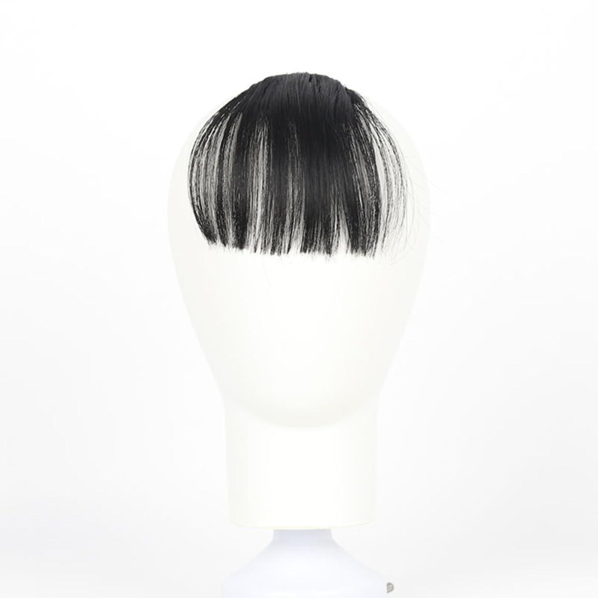 Beavorty Beavorty 2pcs Piece Fake Hair Bangs Black Hair Clip Mini Clips for Hair Clip in Bangs Real Human Hair Bangs Hair Clip Bangs Clip in Hair Extensions Clip in Hair Bangs Wig