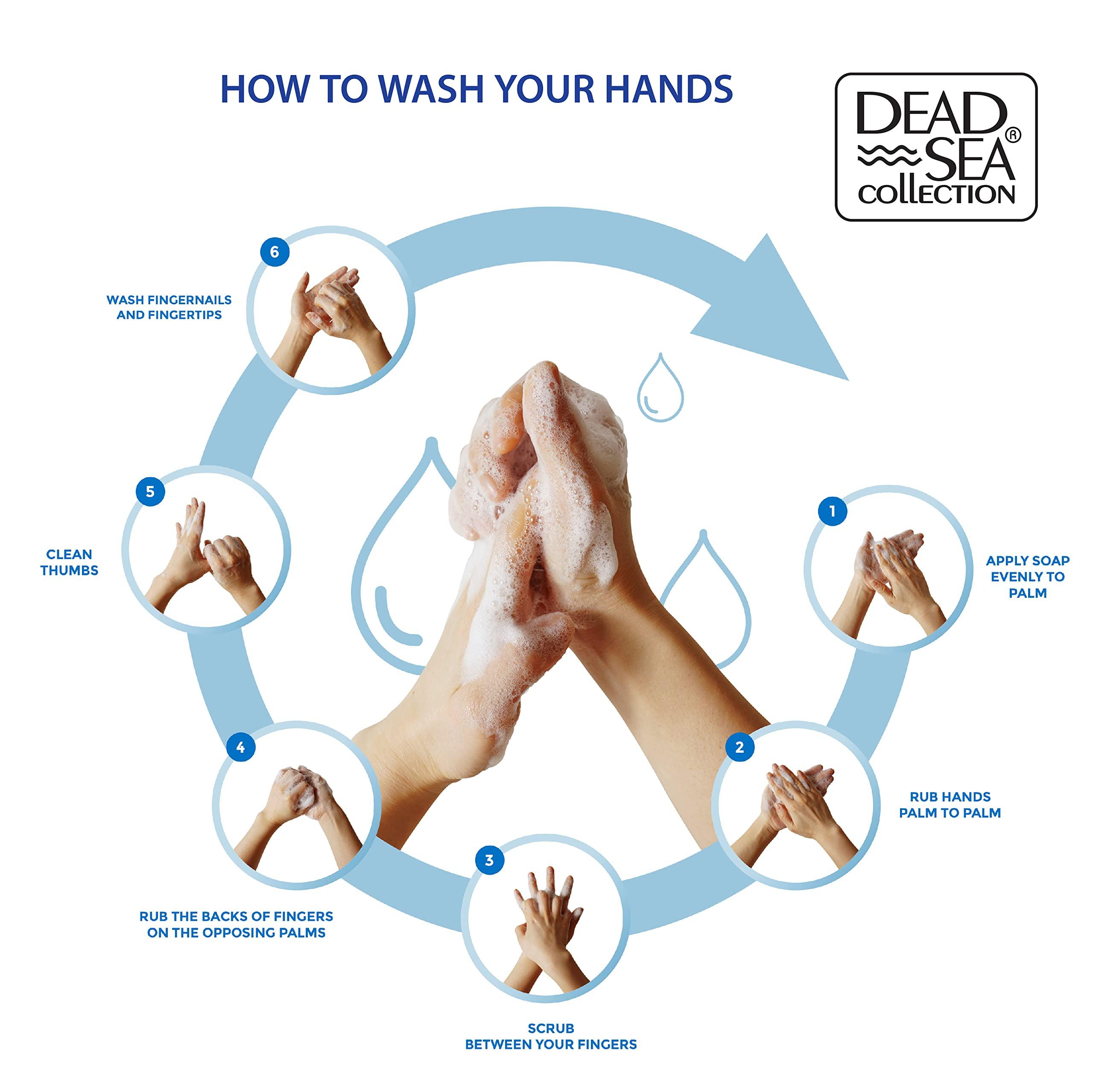 Dead Sea Collection Dead Sea Collection Hand Soap Pump Coconut - Hand Wash Liquid with Dead Sea Minerals and Coconut Oil - All Skin Types Moisturizing & Nourishing - Pack of 2 (33.8 Fl Oz Each) - 67.6 Fl Oz