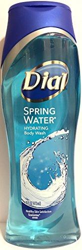 Dial Dial Body Wash, Spring Water, 16 Fl. Ounces (Pack of 2)