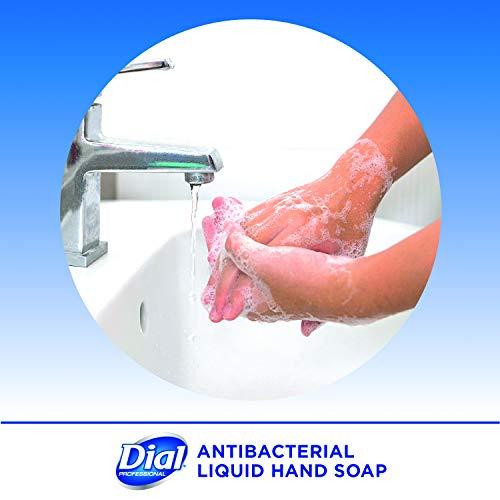 Dial Dial Professional Gold Antibacterial Liquid Hand Soap, 16 OZ Pump Bottle (Pack of 12)