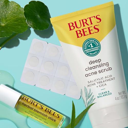 Burt's Bees Burt\'s Bees Herbal Blemish Stick, 0.26 Fl Oz (Pack of 2), Tea Tree Oil Infused, Soothing, Exfoliating, Cleansing, Unisex