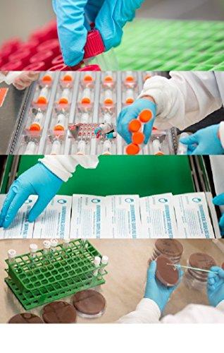 Puritan Medical Puritan Cotton DNA / RNase Sterile Free Tipped Applicator with Polypropylene Shaft, Large Foam Tip (Case of 500)