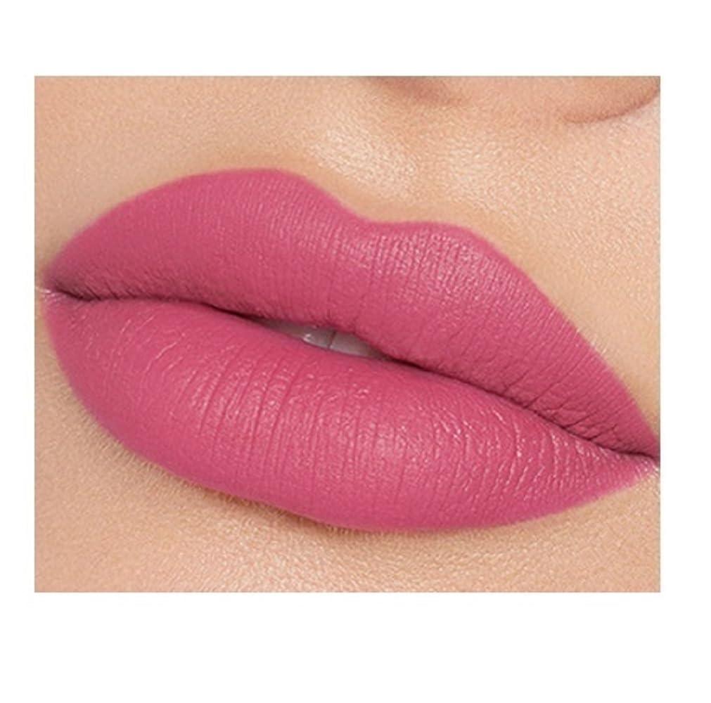 Julystar Julystar 12 Color Matte Lip Gloss Long Lasting Waterproof Liquid Lipstick, Non-Sticky, Matte Finish, Cruelty-Free, Gift for Women (11)