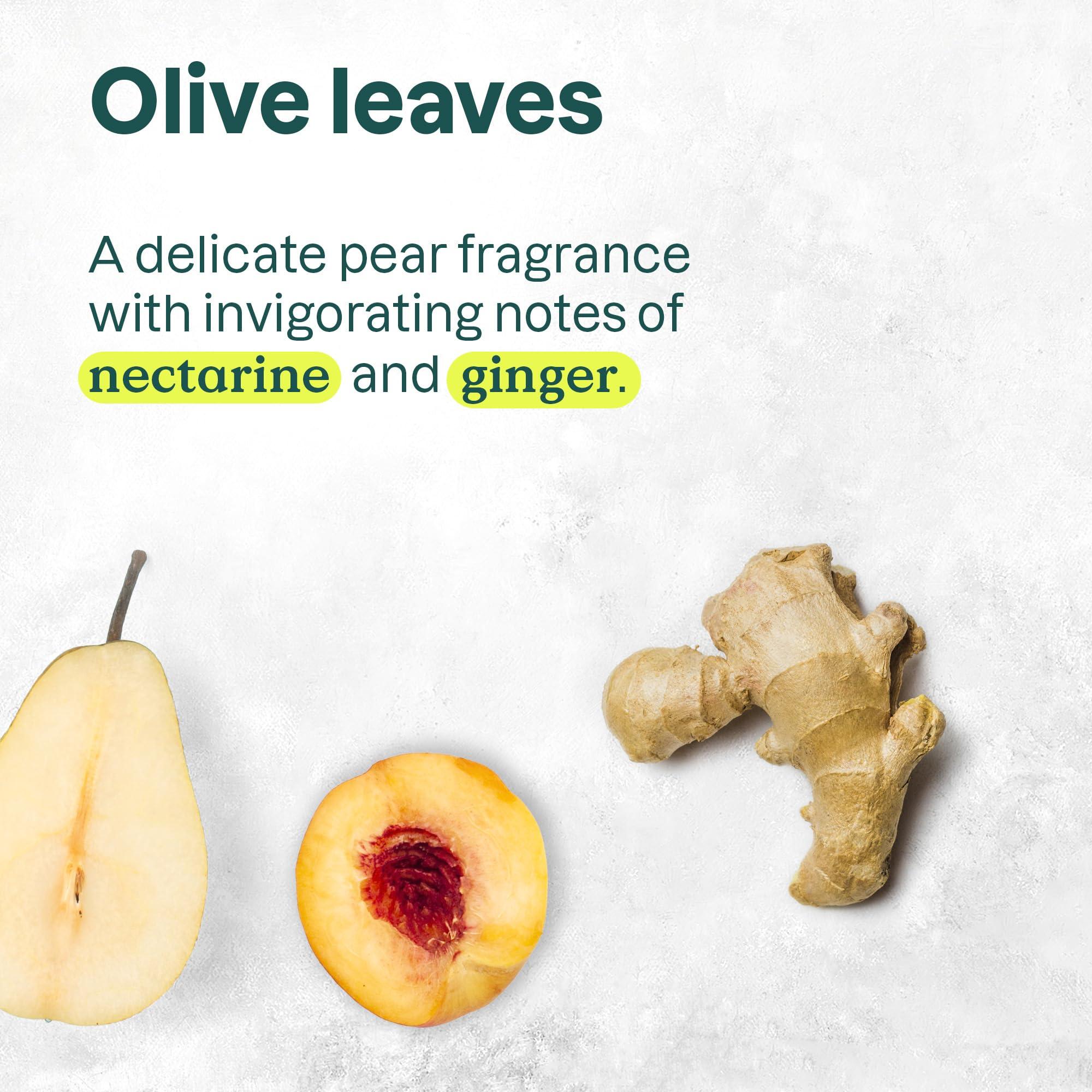 ATTITUDE ATTITUDE Nourishing Hair Shampoo, EWG Verified, For Dry and Damaged Hair, Naturally Derived Ingredients, Vegan and Plant Based, Grapeseed Oil and Olive Leaves, 32 Fl Oz (Pack of 6)