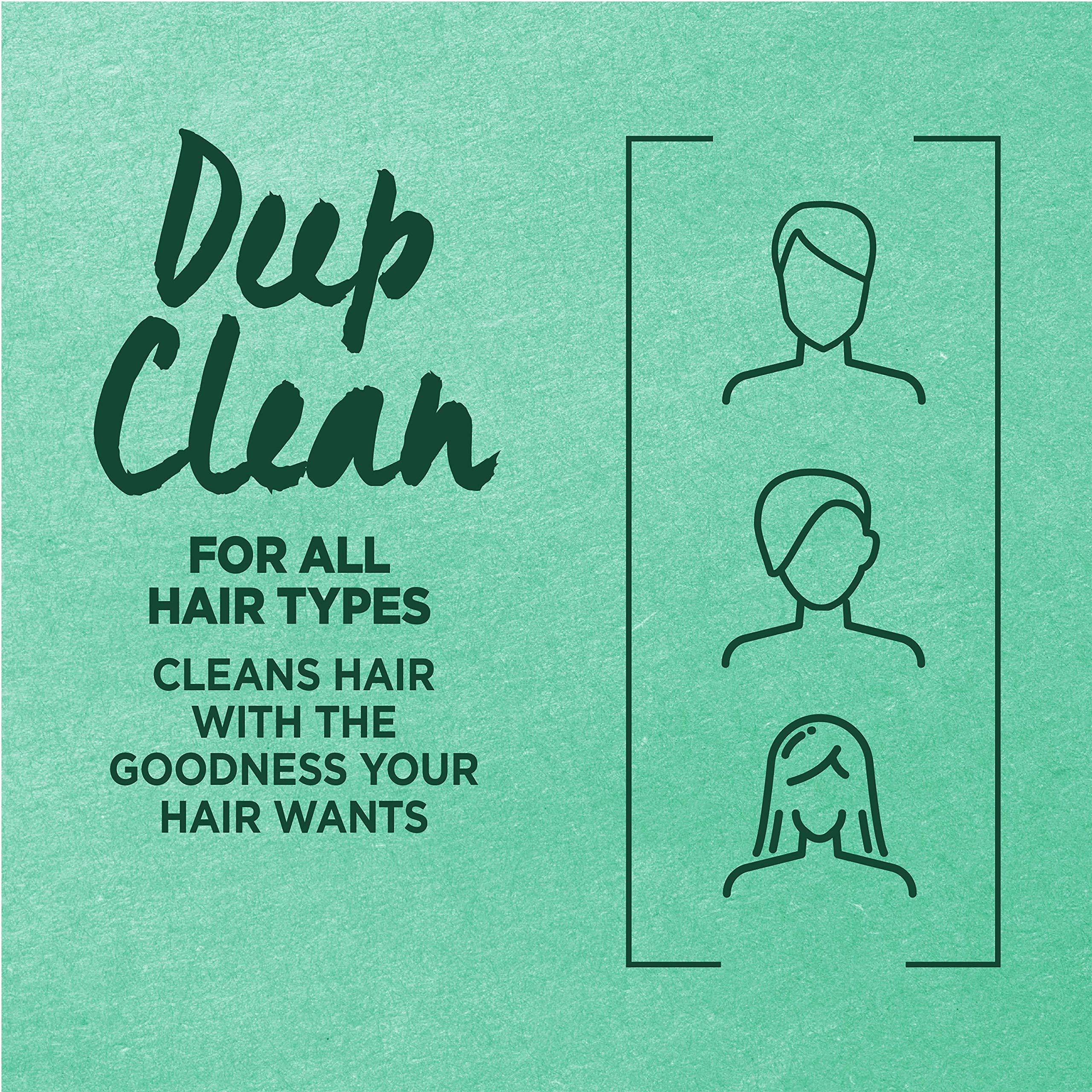 Garnier Garnier Hair Care Fructis Pure Clean Conditioner, 12 Fluid Ounce