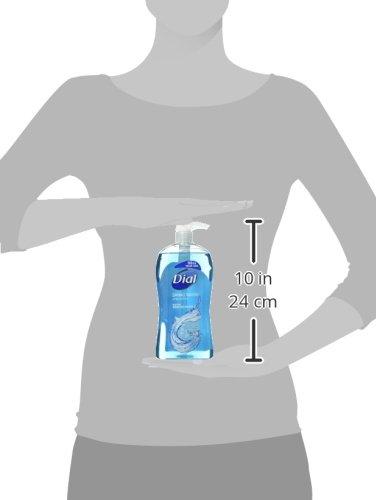Dial Dial Body Wash, Refresh & Renew Spring Water, 32 fl oz