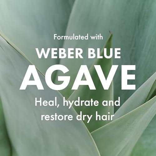 Agave HEALING OIL Agave Healing Oil Treatment Hydrating & Smoothing Hair Oil for Frizz Control & Shine 3.75 fl oz