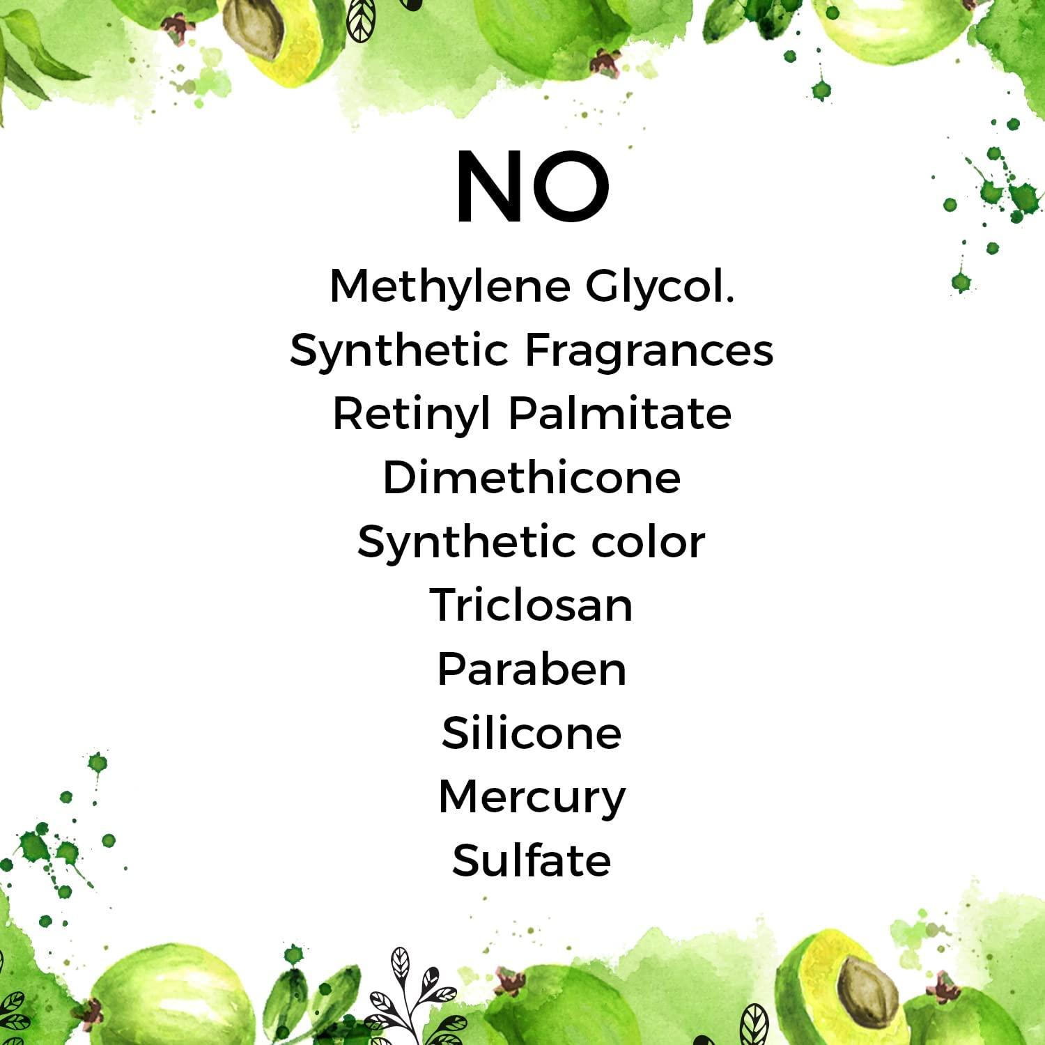 NinthAvenue Basics Amla Shampoo with Reetha & Shikakai - Sulfate & Paraben Free Shampoo for Hair Fall Control, Moisturizing, Anti-Dandruff | Infused with Coconut & Castor Oils | Organic Shampoo for Dry & Oily Scalp Care