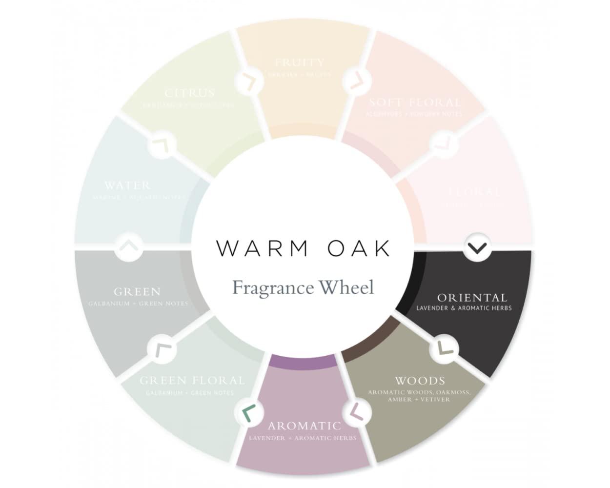 Gilchrist & Soames Gilchrist & Soames Warm Oak Shampoo - 9oz - Promotes Strong and Healthy Hair, All Hair Types, Zero Parabens, Sulfates, and Phthalates