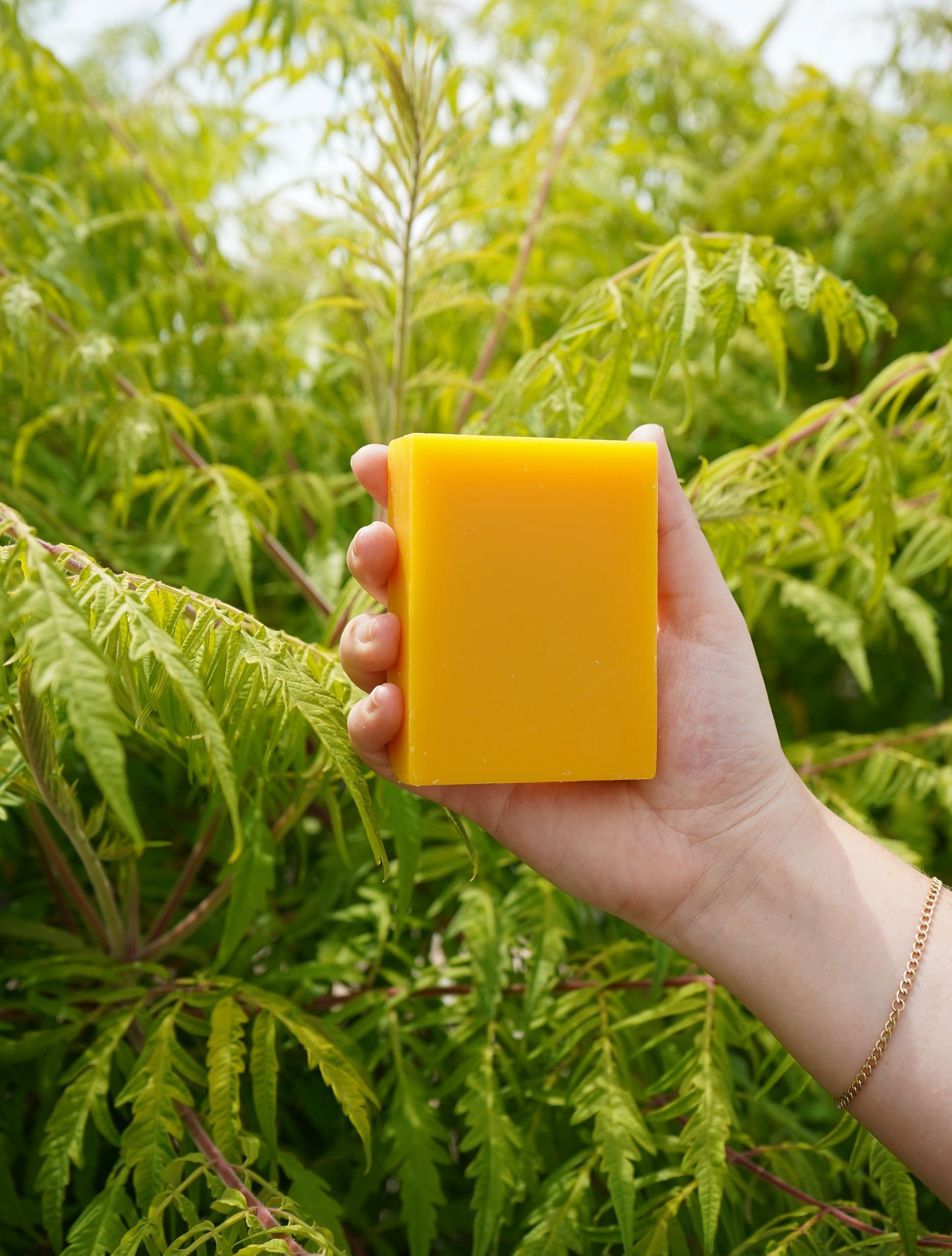 Chagrin Valley Soap & Salve Chagrin Valley Soap & Salve Organic Natural Shampoo Bar (Carrot Milk & Honey, 1 Bar)