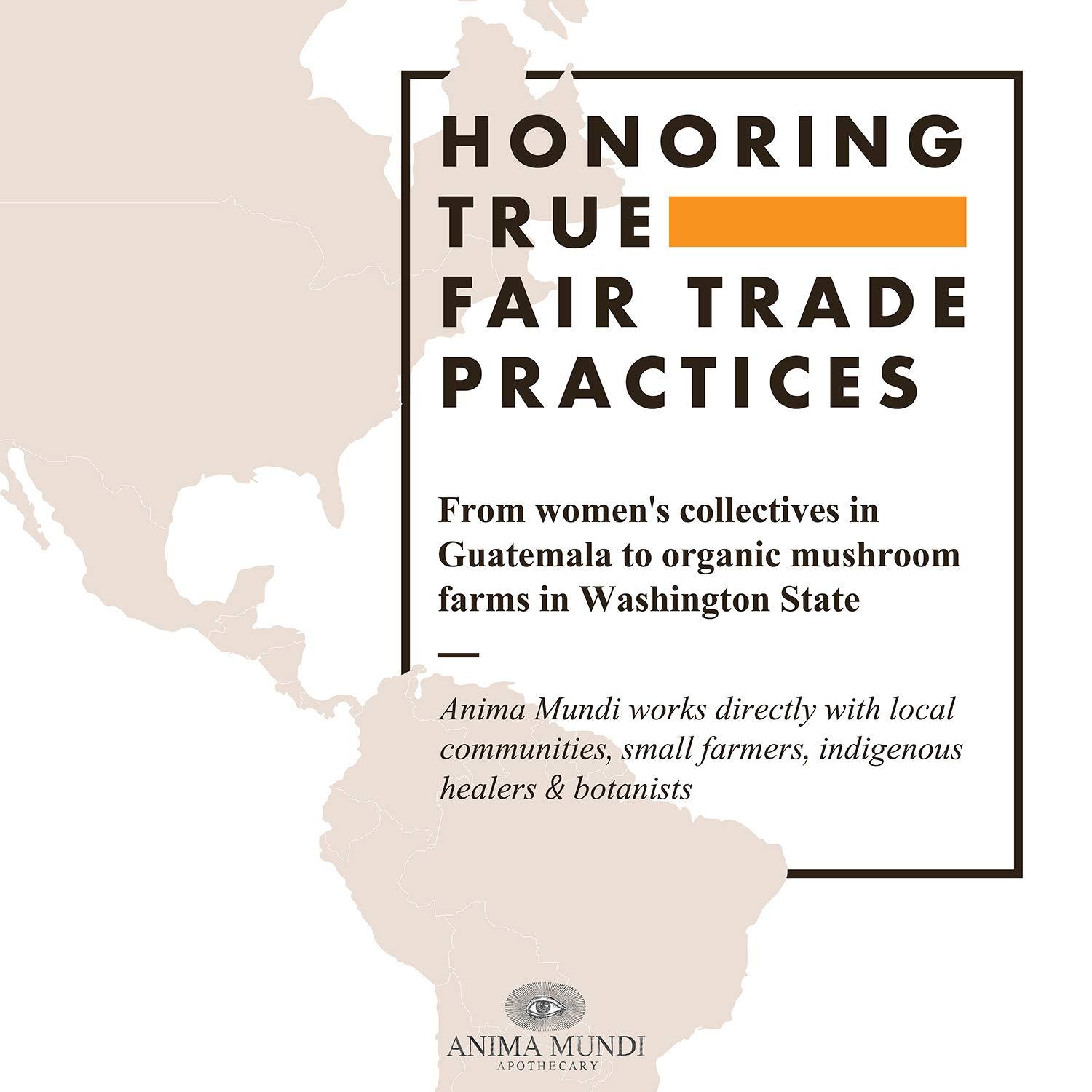 Anima Mundi Apothecary Anima Mundi Apothecary Butterfly Pea Flower Powder - Blue Healer - Use As an Organic Food Coloring or to Make Blue Butterfly Pea Flower Tea - May Support Healthy Skin & Nails (4.5 oz)