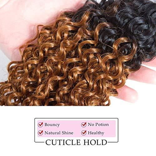 Kislemon Kinky Curly Hair Ombre 1B 30 Ombre 2 Tone 1B/30 Kinky Curly Human Hair Weave Bundles 1 piece, Black Roots Ombre Brown Real Brazilian Remy Hair Weave Bundles (10 inches)