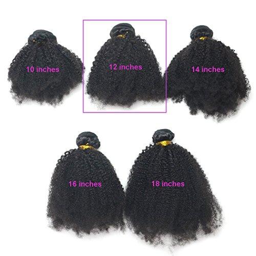 Luwigs Luwigs Afro Kinky Curly 4B 4C Hair Extensions One Bundle Hair Weave Human Hair Bundles Afro Kinkys Curly Hair Bundles Natural Color (12 inches, Afro Kinky Curly 4B 4C)