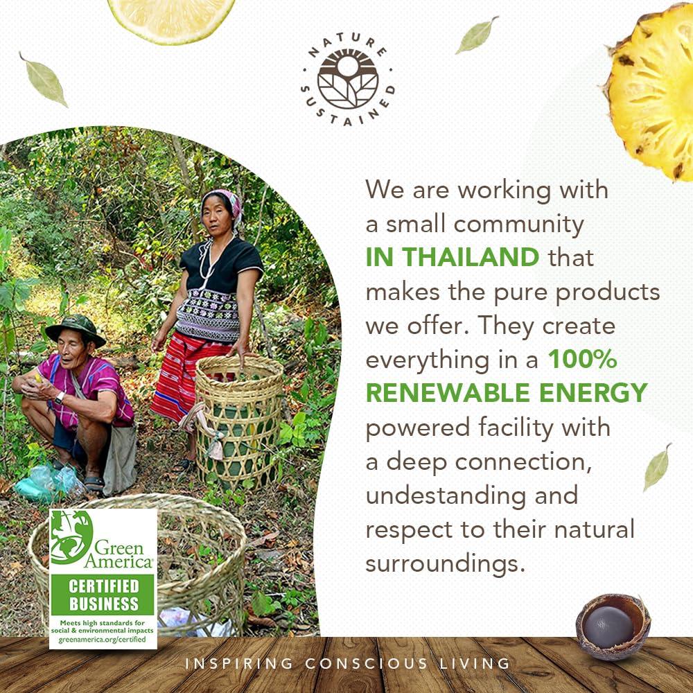 Nature Sustained Natural Shampoo for Oily Hair & Scalp - Organic, Raw & Wildcrafted with Probiotics, Hypoallergenic & Sulfate Free Herbal Shampoo for Oil Control, Dandruff, Seborrheic Dermatitis - 9 Oz, Original