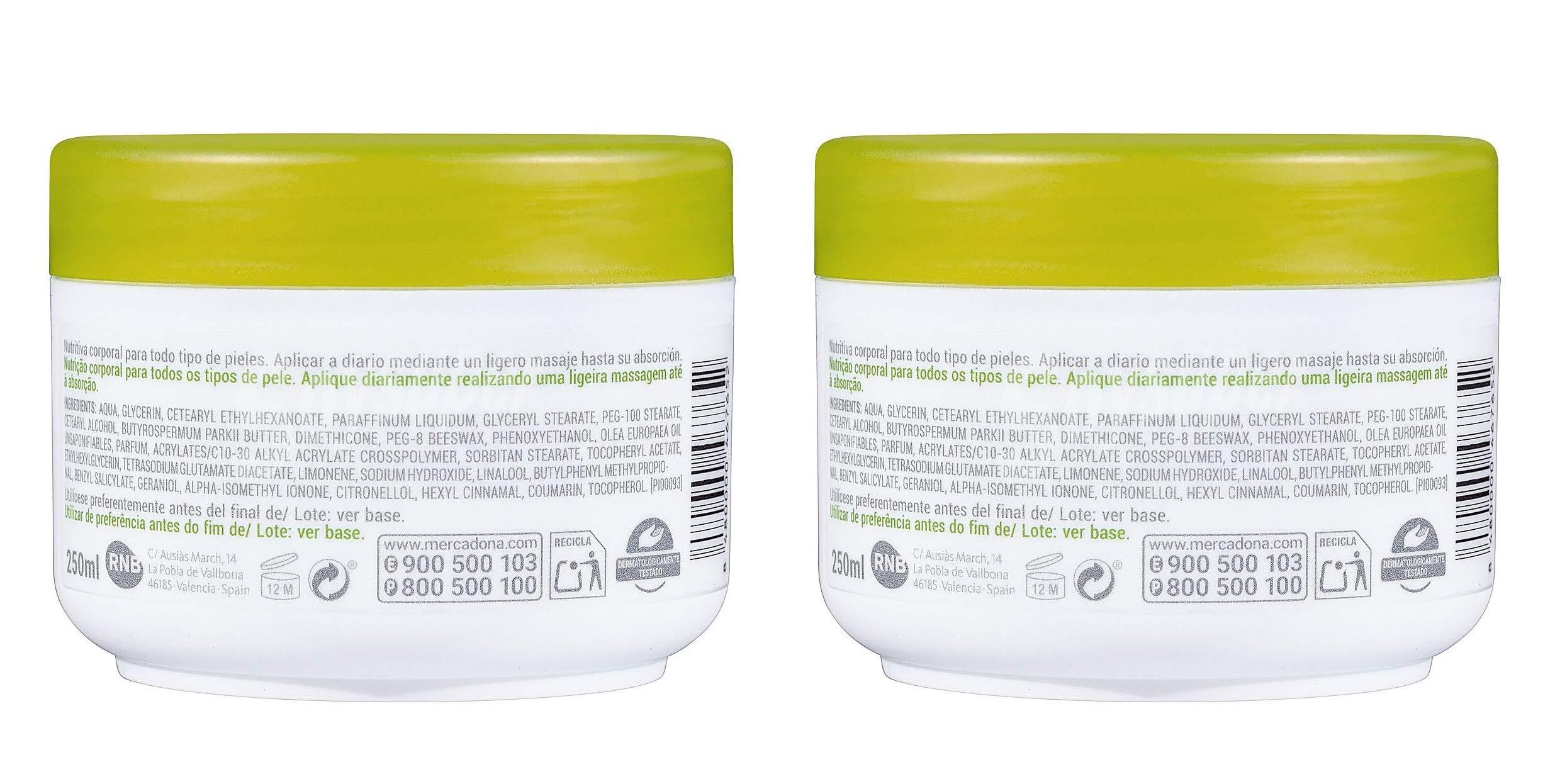 Deliplus Deliplus Olive Oil Intensive Rich Moisturizing Hand and Body Cream Treatment for Dry Skin with Karite and Vitamin E 6.75 fl oz (Pack of 2)