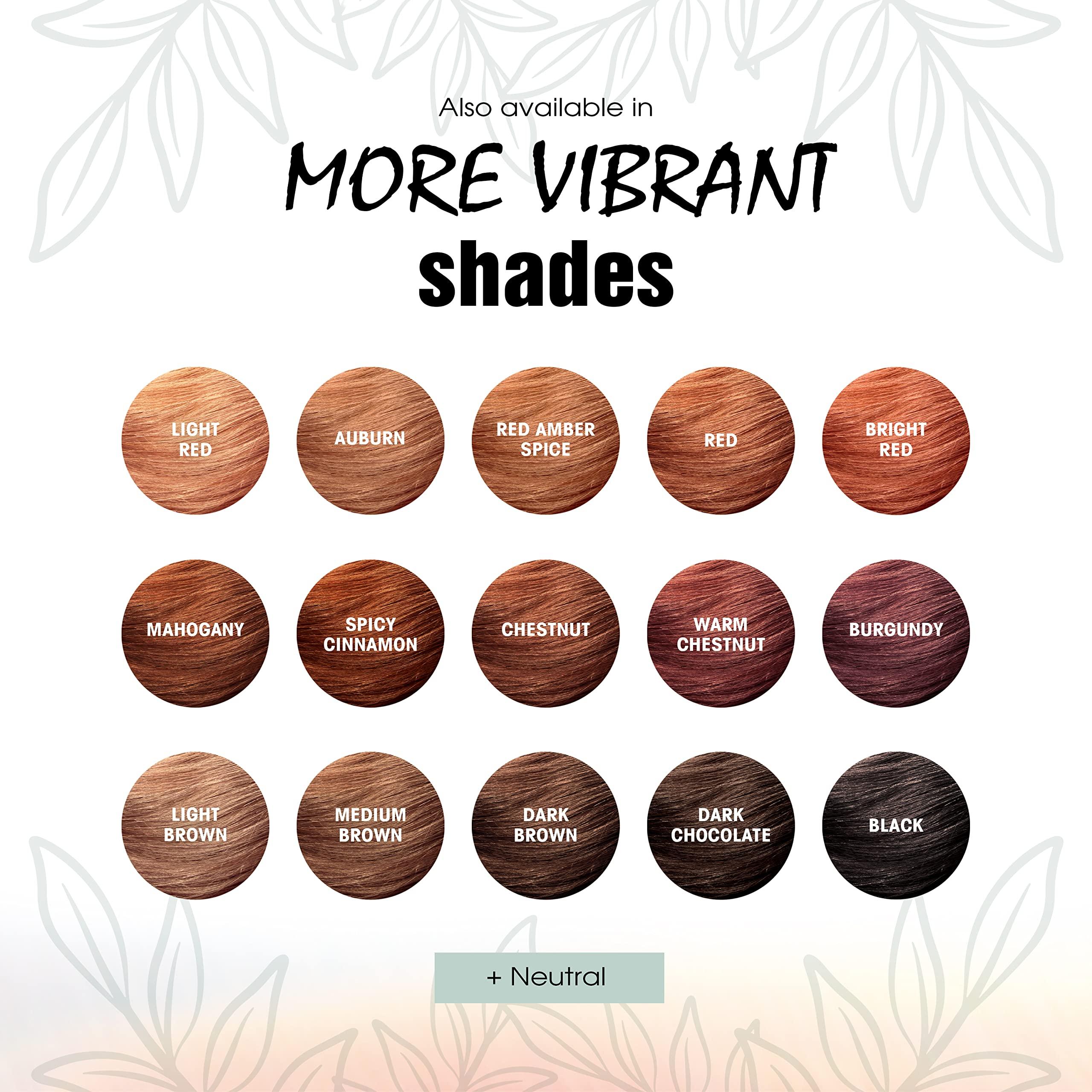 LIGHT MOUNTAIN LIGHT MOUNTAIN Neutral Henna Hair Dye & Conditioner 3-Pack Natural Shine & Conditioning, 4 Oz Ea