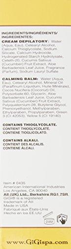 GiGi Gigi Hair Removal Cream For Face With Calming Balm (2 Pack)