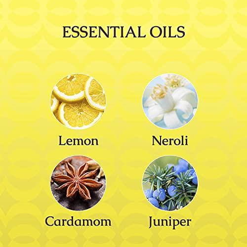 Caldrea Caldrea Dish Soap, Biodegradable Dishwashing Liquid made with Soap Bark and Aloe Vera, Sea Salt Neroli, 16 oz , 3 Pack