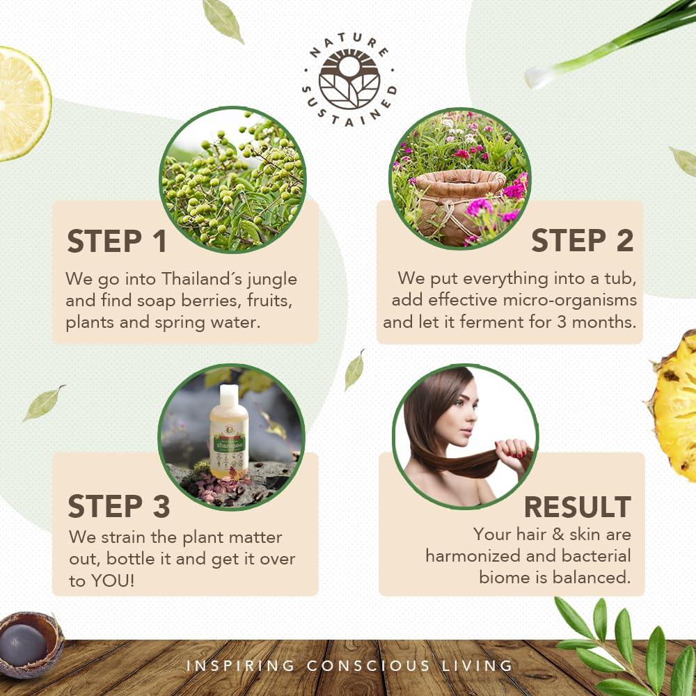 Nature Sustained Natural Shampoo for Oily Hair & Scalp - Organic, Raw & Wildcrafted with Probiotics, Hypoallergenic & Sulfate Free Herbal Shampoo for Oil Control, Dandruff, Seborrheic Dermatitis - 9 Oz, Original