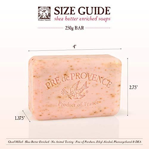 Pre de Provence Pre de Provence Artisanal Soap Bar, Enriched with Organic Shea Butter, Natural French Skincare, Quad Milled for Rich Smooth Lather, Agrumes, 8.8 Ounce