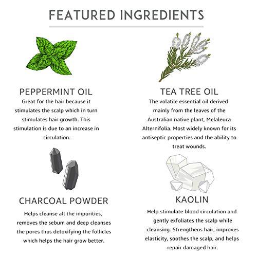 L LUSETA Luseta Charcoal Detox Shampoo for Clarifying, Detoxifies and Volumizing 33.8oz